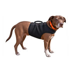 Finnegan’s Cape Dog Mobility Vest