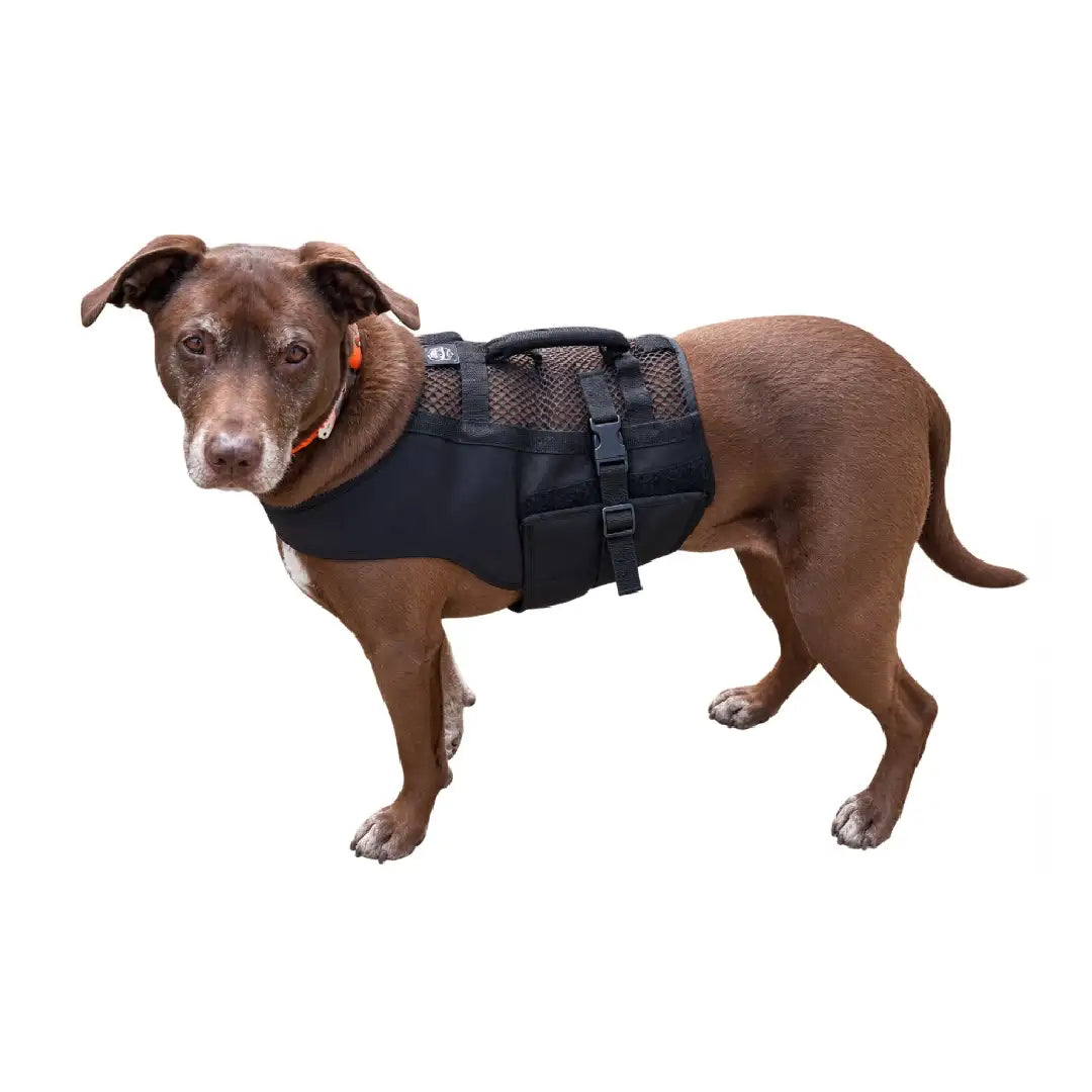 Finnegan’s Cape