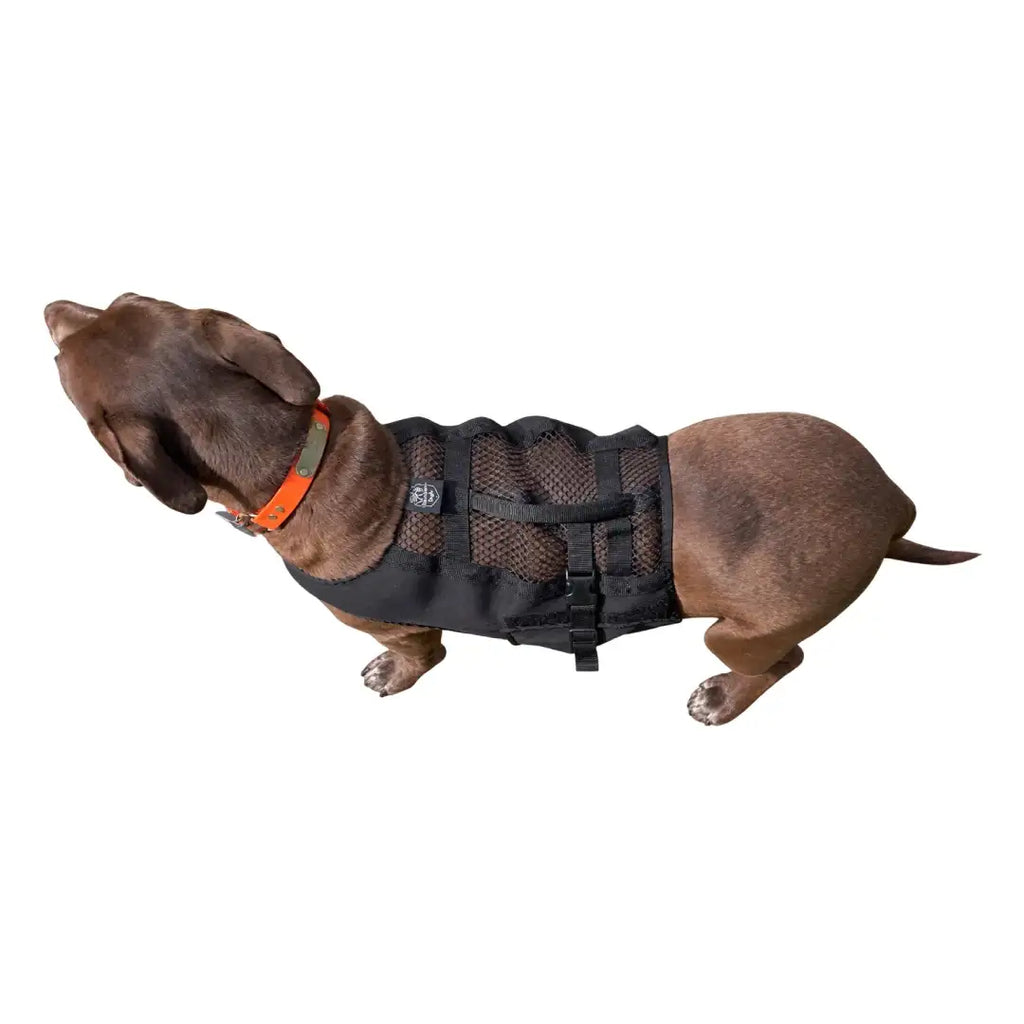 Finnegan’s Cape Dog Mobility Vest