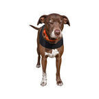 Finnegan’s Cape Dog Mobility Vest