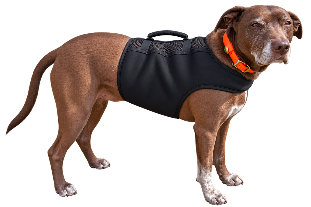 Finnegan’s Cape Dog Mobility Vest