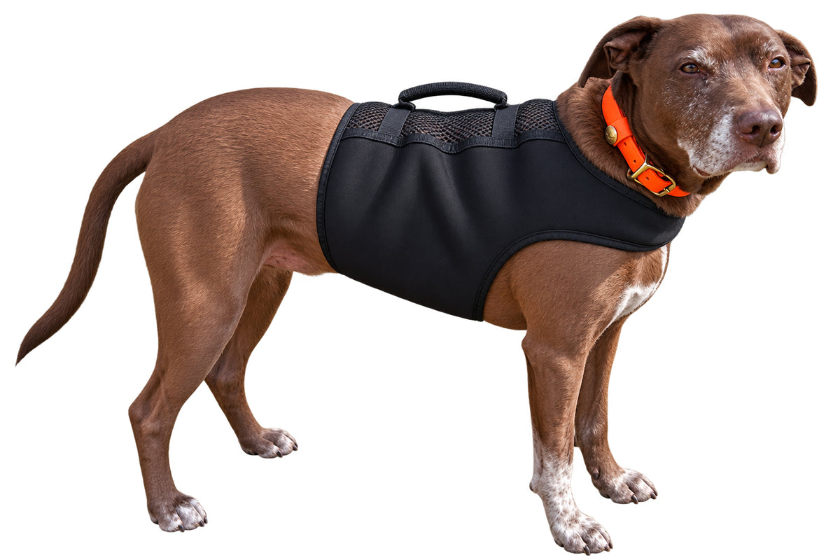 Finnegan’s Cape Dog Mobility Vest